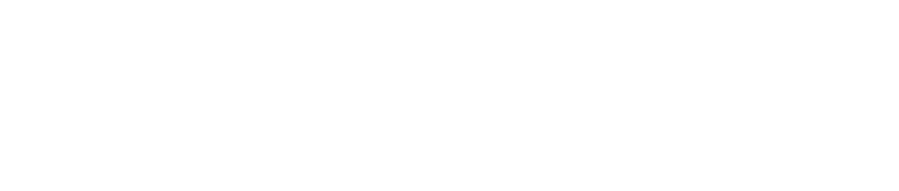 LT_Primary_Logo_White